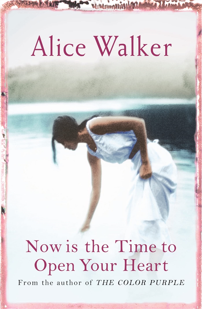 Now Is The Time To Open Your Heart [Paperback] [Jan 01, 2005] Walker, Alice/Product Detail/General Fiction Books