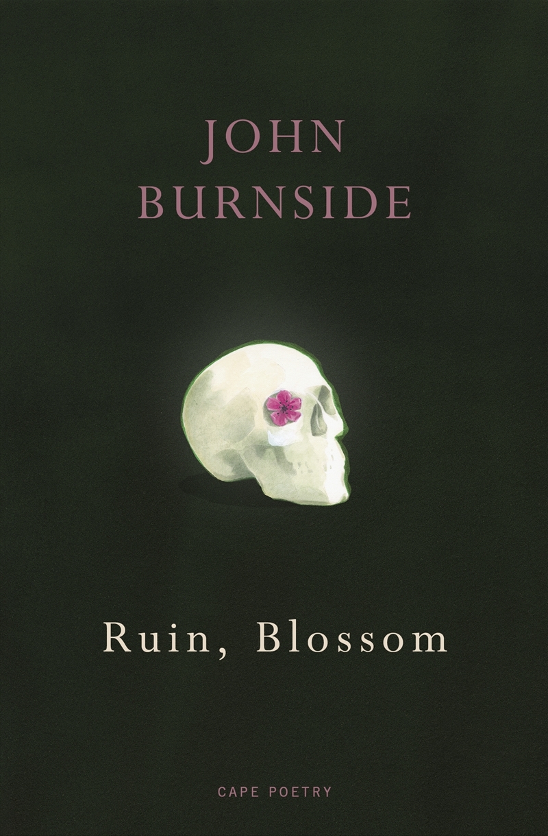 Ruin, Blossom/Product Detail/Reading