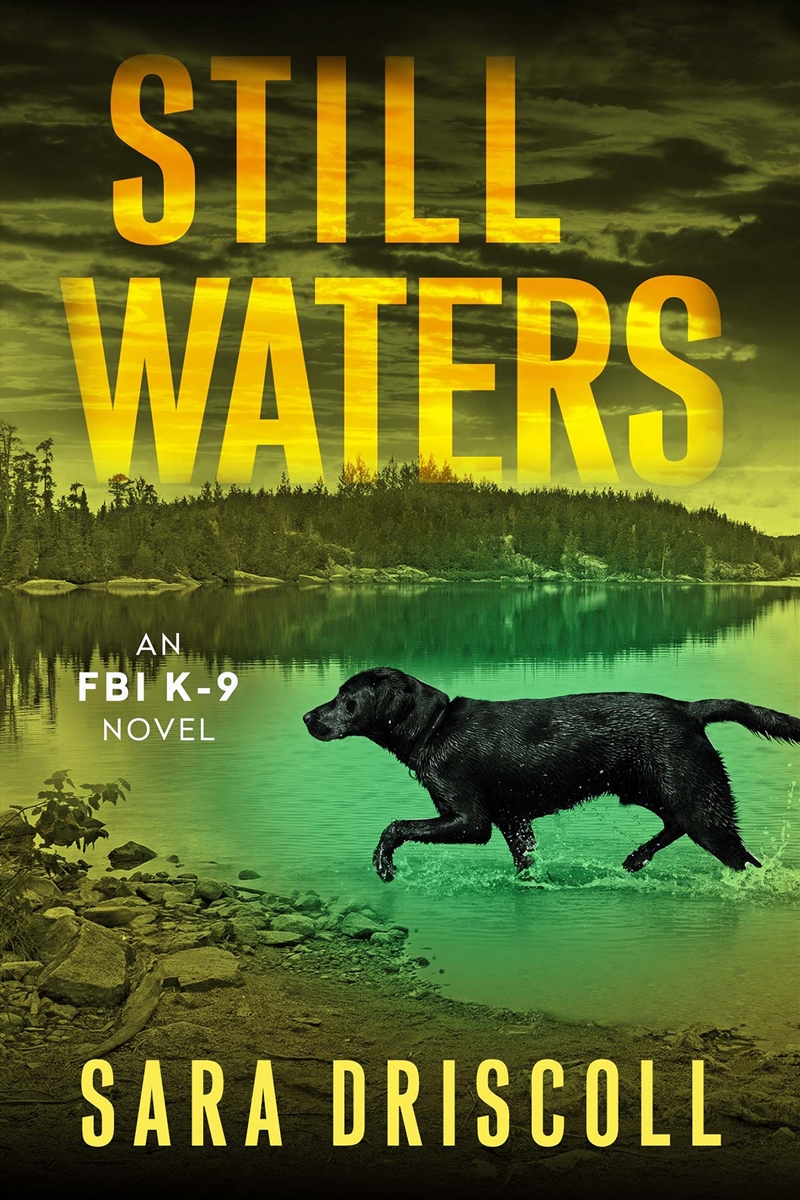 Still Waters:A Riveting Novel of Suspense/Product Detail/Childrens Fiction Books