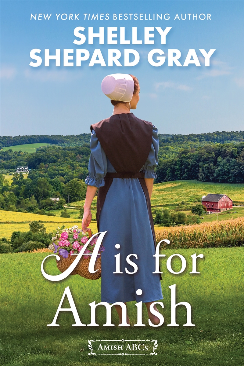 A Is For Amish/Product Detail/General Fiction Books