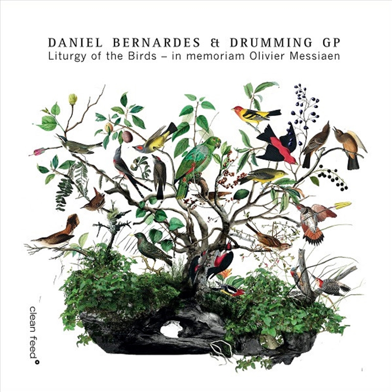 Liturgy Of The Birds / Drumming Gp/Product Detail/Jazz