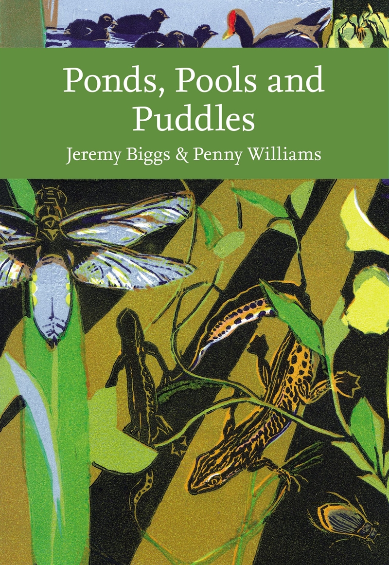 Collins New Naturalist Library - Ponds, Pools And Puddles/Product Detail/Animals & Nature