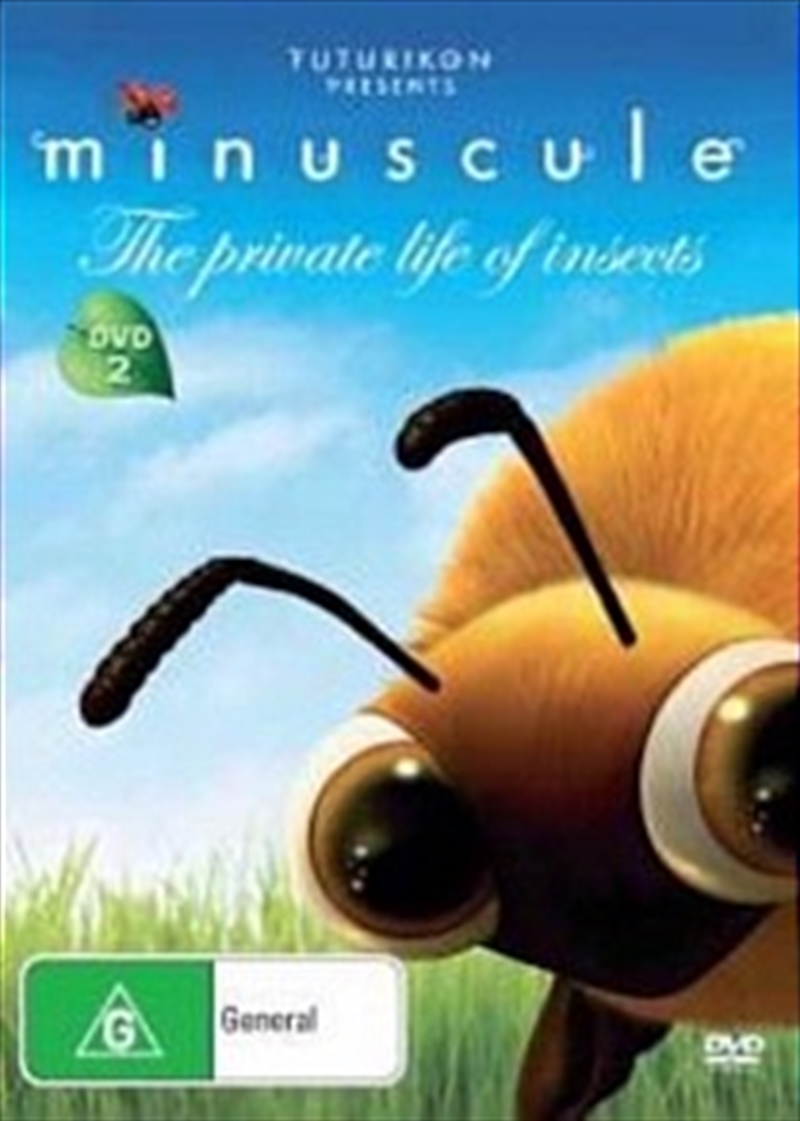 Buy Private Life Of Insects Vol2 DVD Online | Sanity