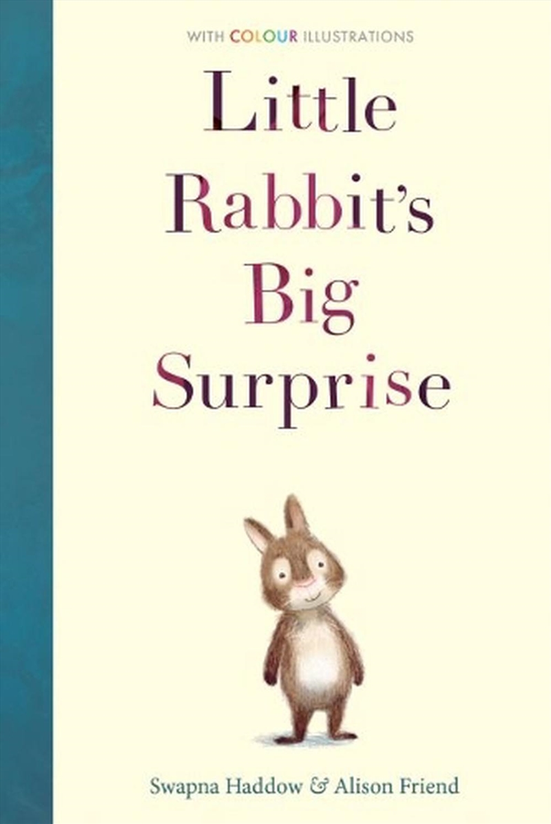 Little Rabbit's Big Surprise/Product Detail/Childrens Fiction Books