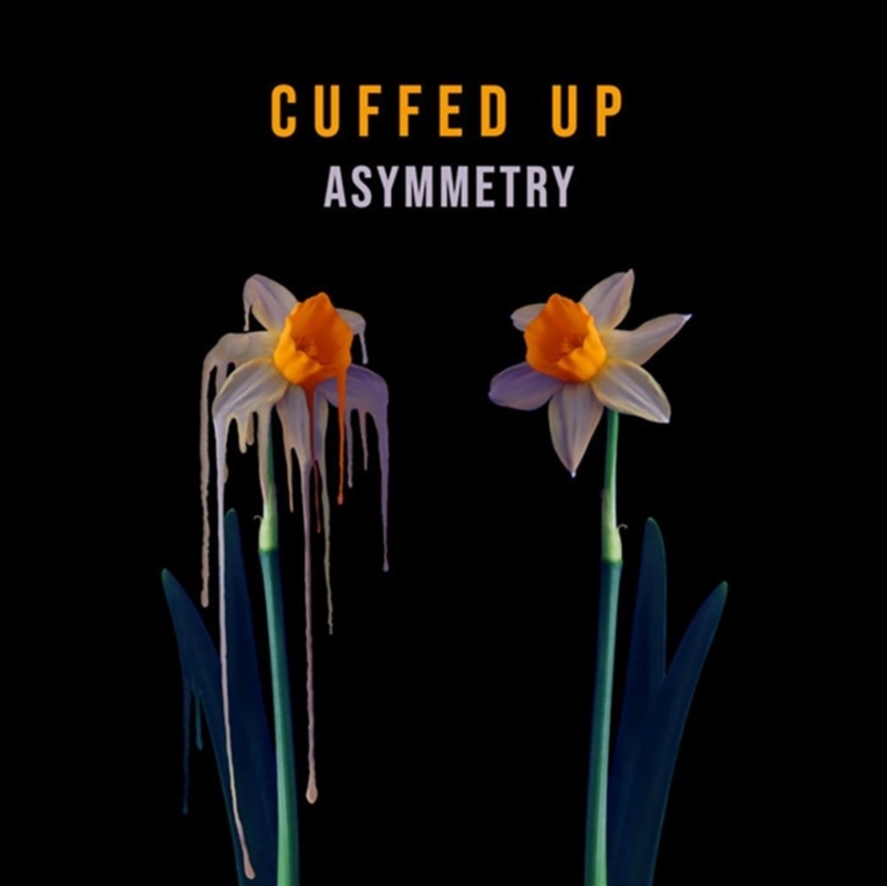 Asymmetry/Product Detail/Rock/Pop