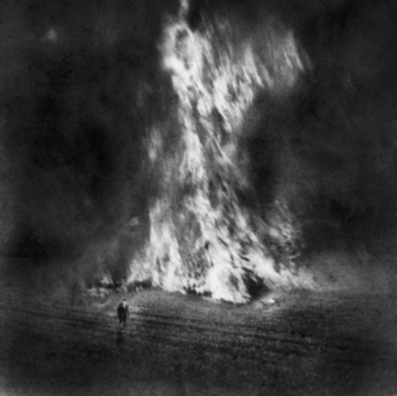Fields Of Fire/Product Detail/Rock/Pop