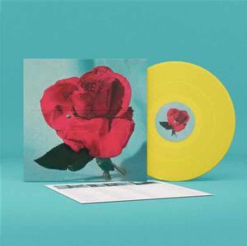 Up On Gravity Hill - Clear W//Product Detail/Rock/Pop
