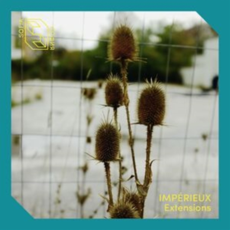 Extensions Ep/Product Detail/Dance