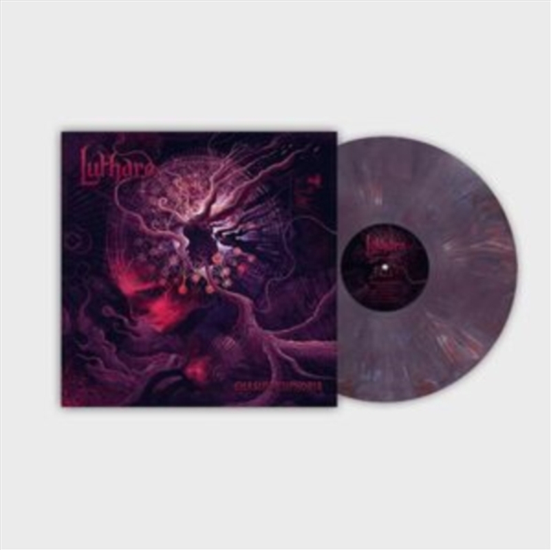 Chasing Euphoria/Product Detail/Rock/Pop