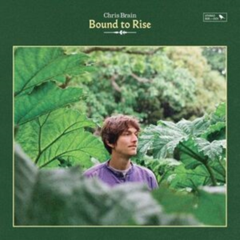 Bound To Rise/Product Detail/Blues