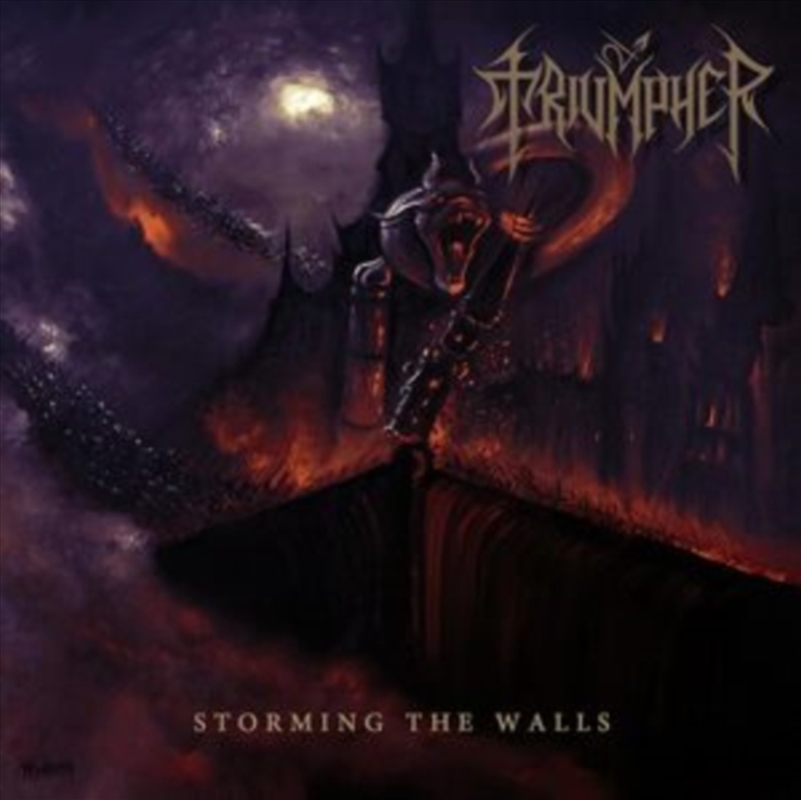 Storming The Walls/Product Detail/Rock/Pop