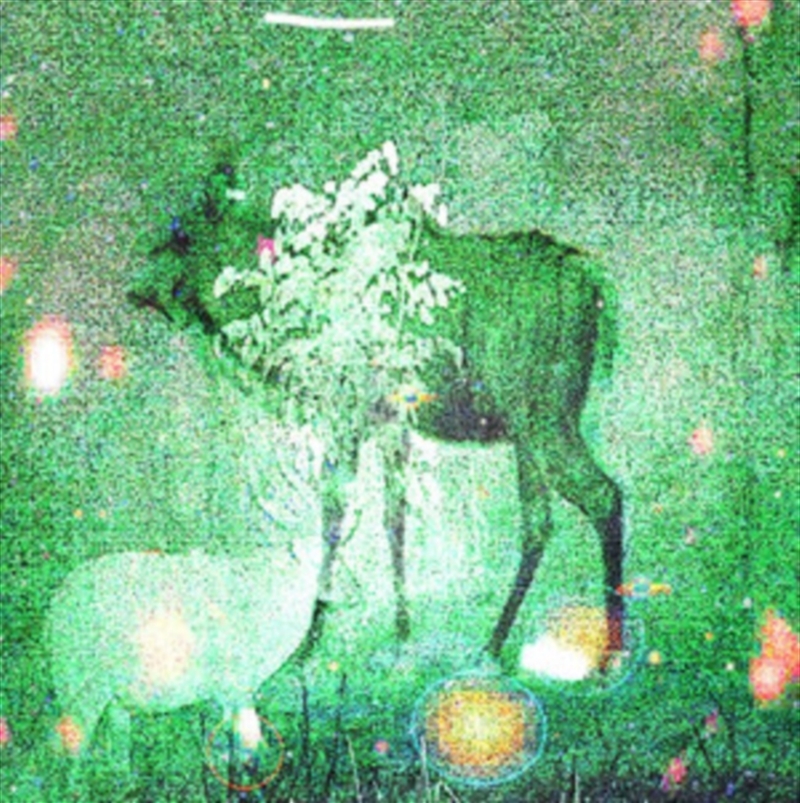 Wombs And Alien Spirits/Product Detail/Dance