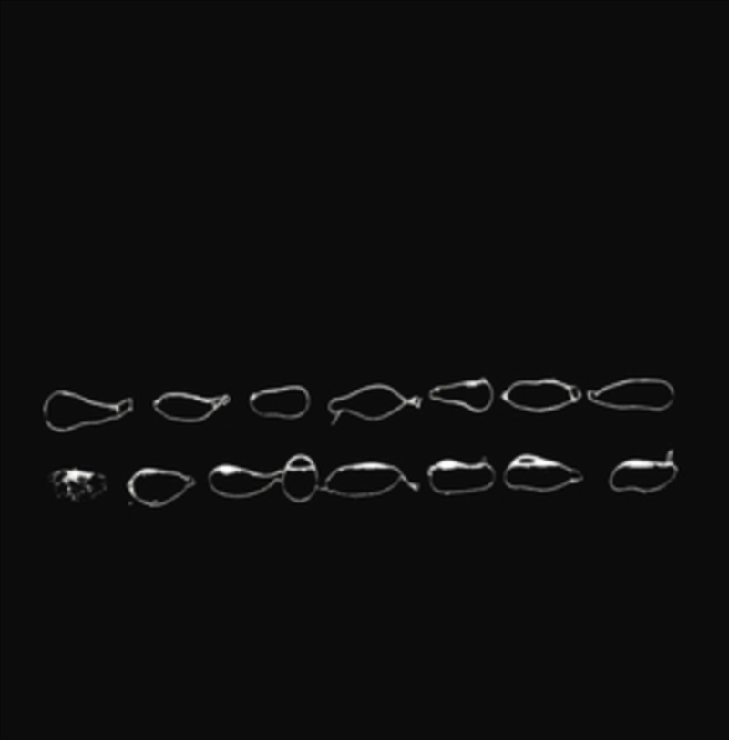 Yacker/Product Detail/Dance