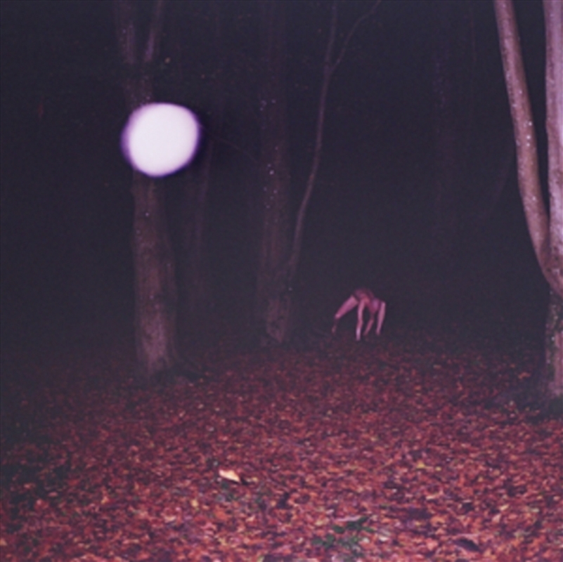 Skinwalker/Product Detail/Rock/Pop