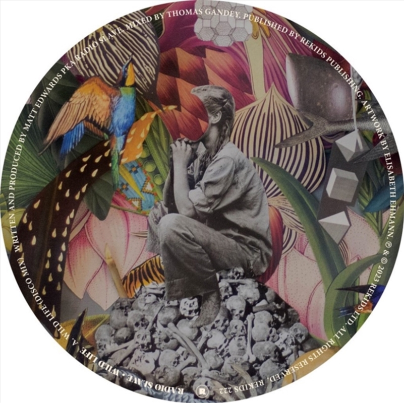 Wild Life/Product Detail/Dance