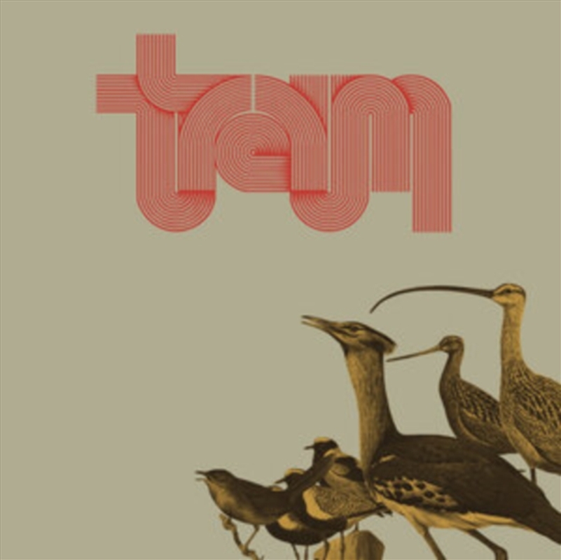 Traum/Product Detail/Rock/Pop