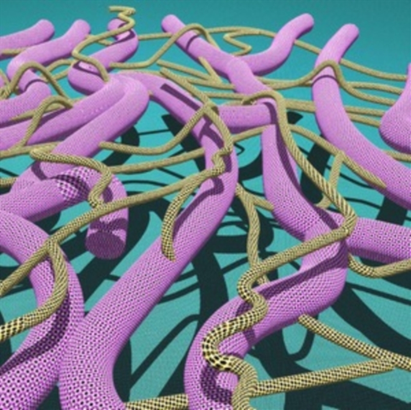 Pyramids/Product Detail/Rock/Pop