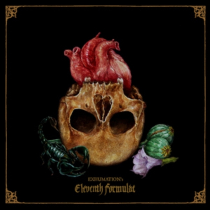 Eleventh Formulae/Product Detail/Metal