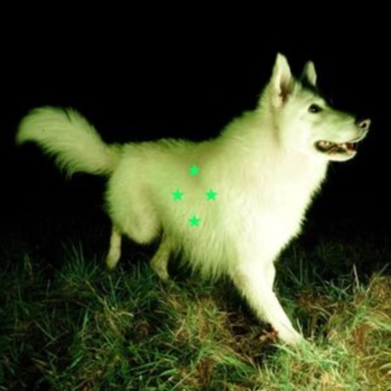 Compare Whats There/Product Detail/Alternative