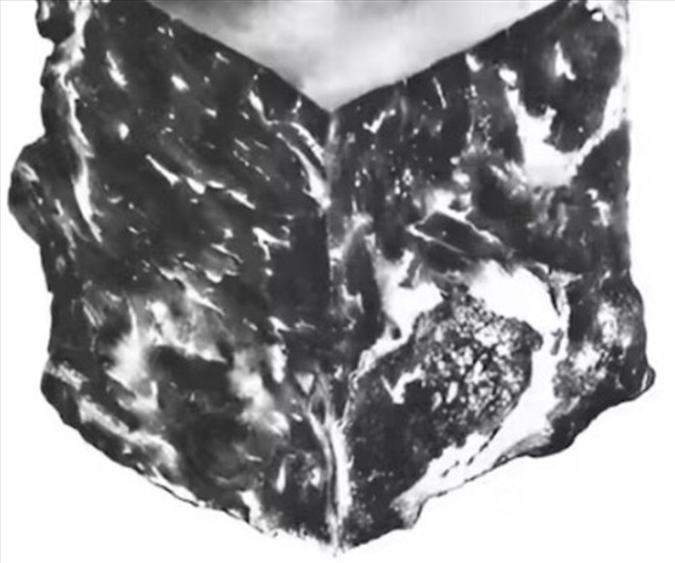 Transgender Dysphoria Blues [10Th Anniversary Ed]/Product Detail/Rock/Pop