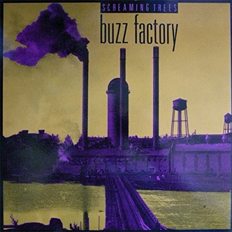 Buzz Factory/Product Detail/Rock