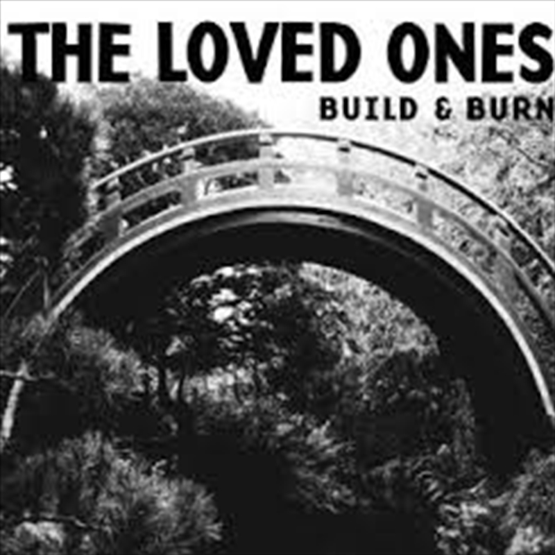 Build And Burn/Product Detail/Punk