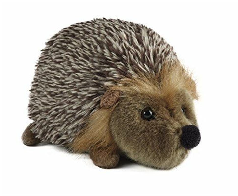 Hedgehog Medium 18cm/Product Detail/Plush Toys