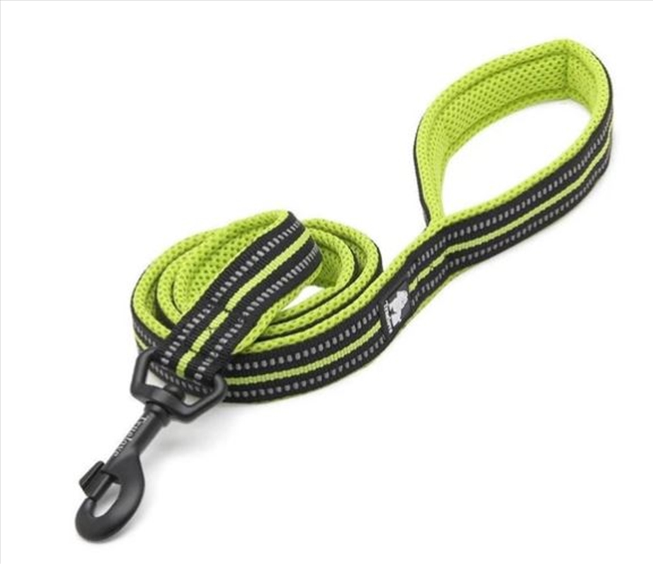 Reflective 2 Meters Yellow Xs/Product Detail/Pet Accessories