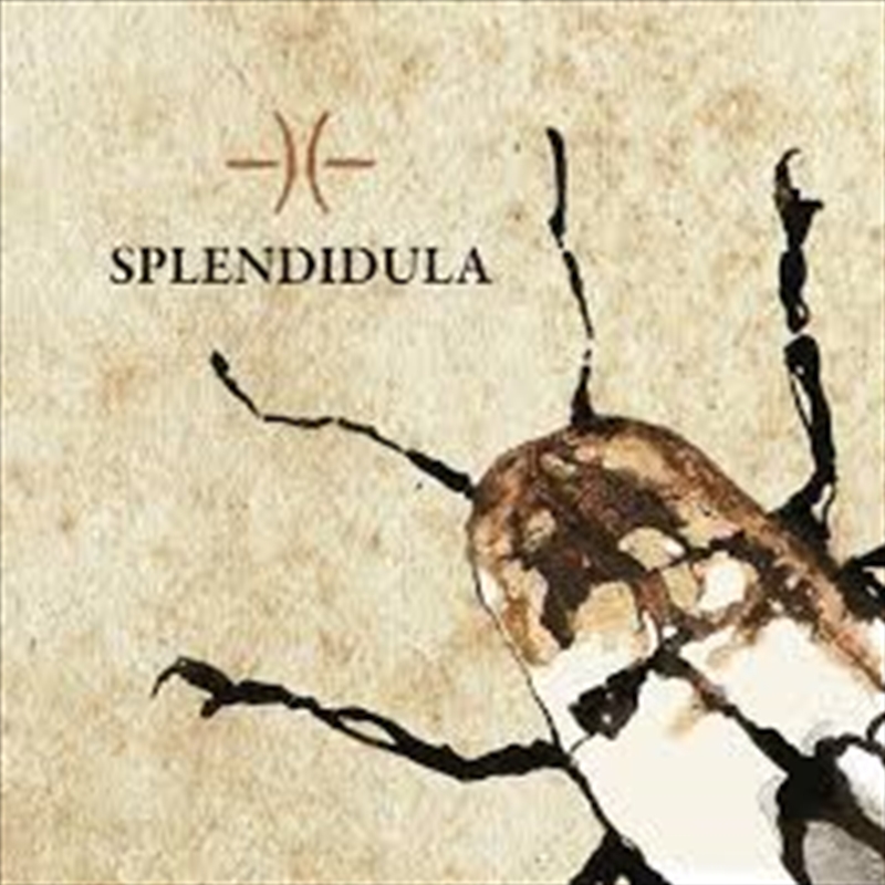 Splendidula/Product Detail/Rock/Pop