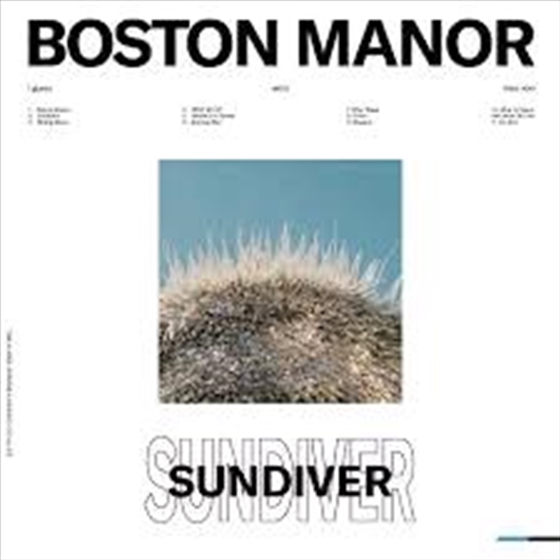 Sundiver - Blue/White Dot Viny/Product Detail/Rock/Pop