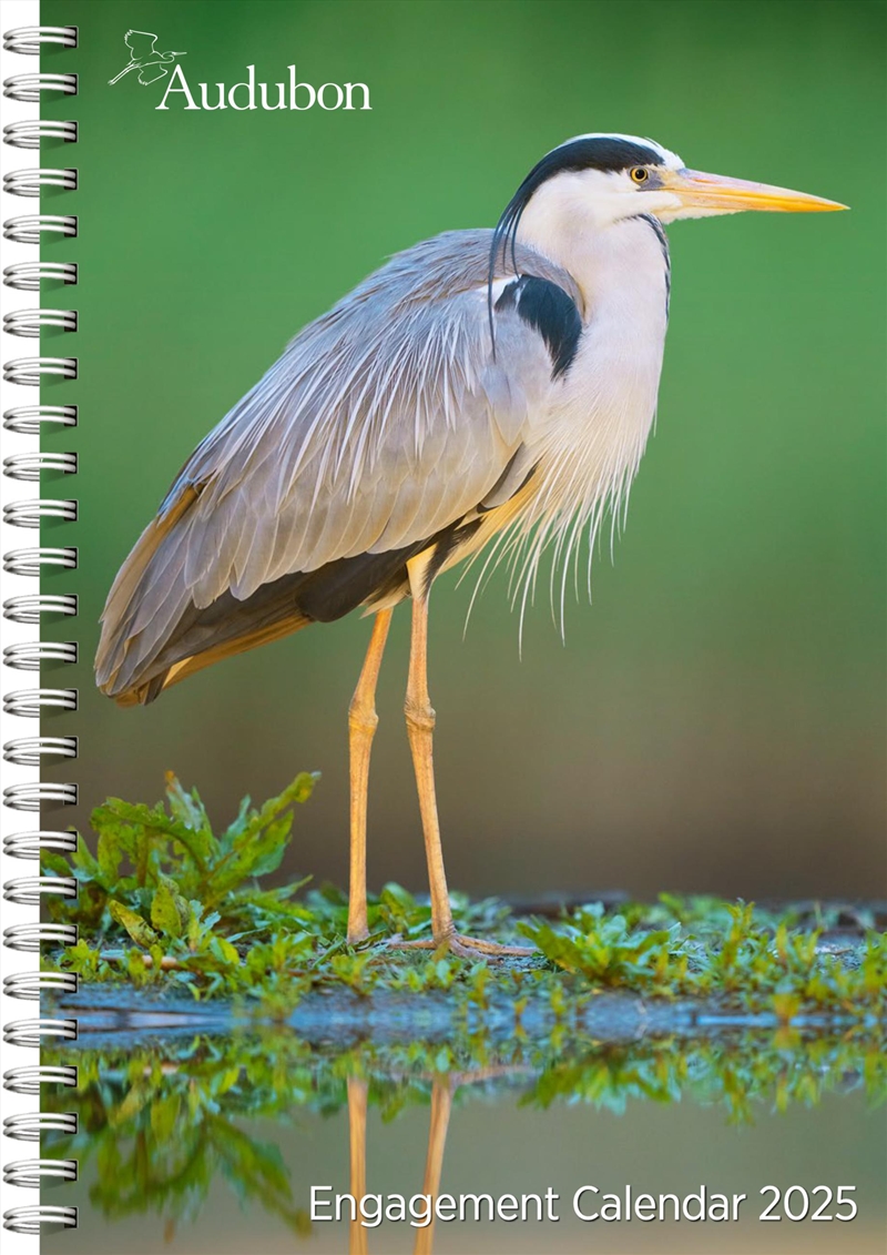 Audubon Engagement Calendar 2025/Product Detail/Calendars & Diaries