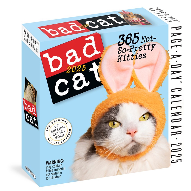 Bad Cat Page-A-Day  Calendar 2025/Product Detail/Calendars & Diaries