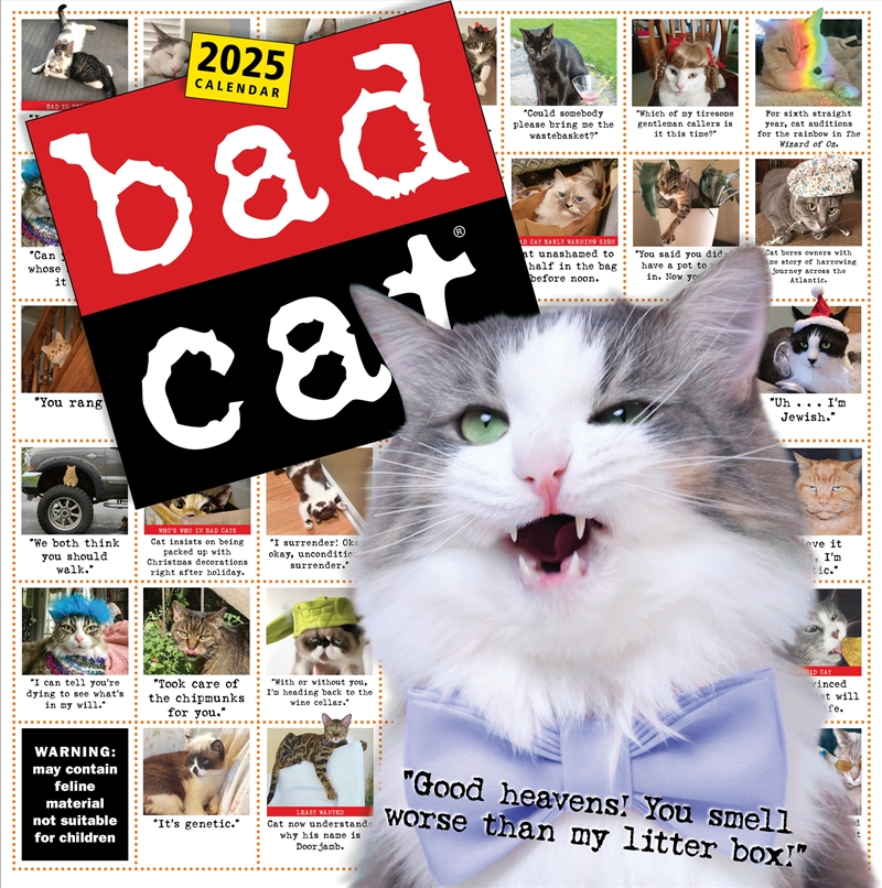 Bad Cat Wall Calendar 2025/Product Detail/Calendars & Diaries