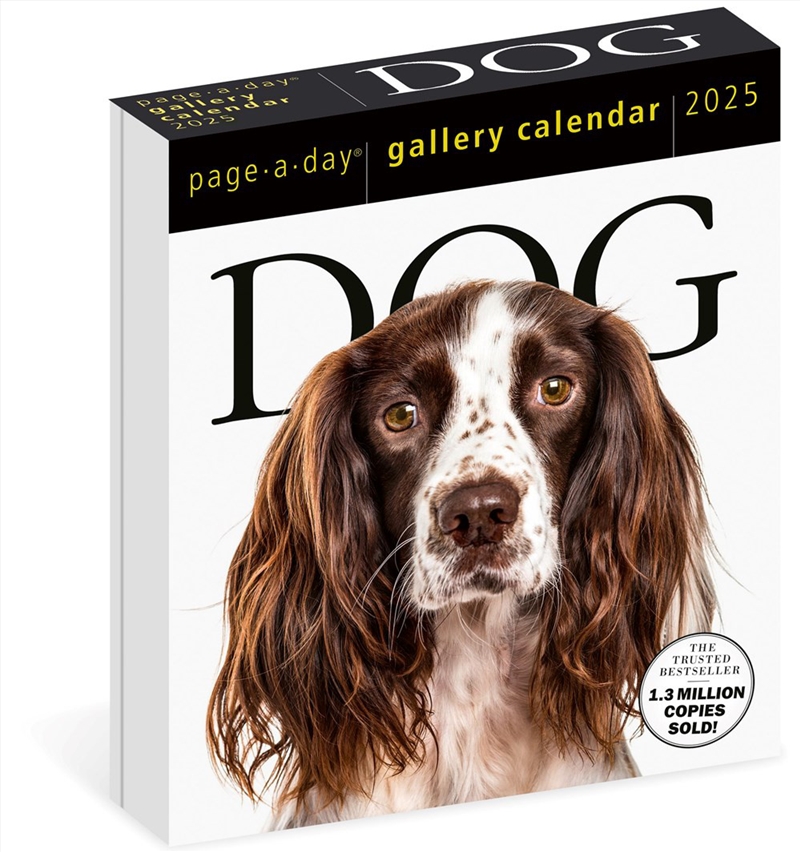 Dog Page-A-Day  Gallery Calendar 2025/Product Detail/Calendars & Diaries