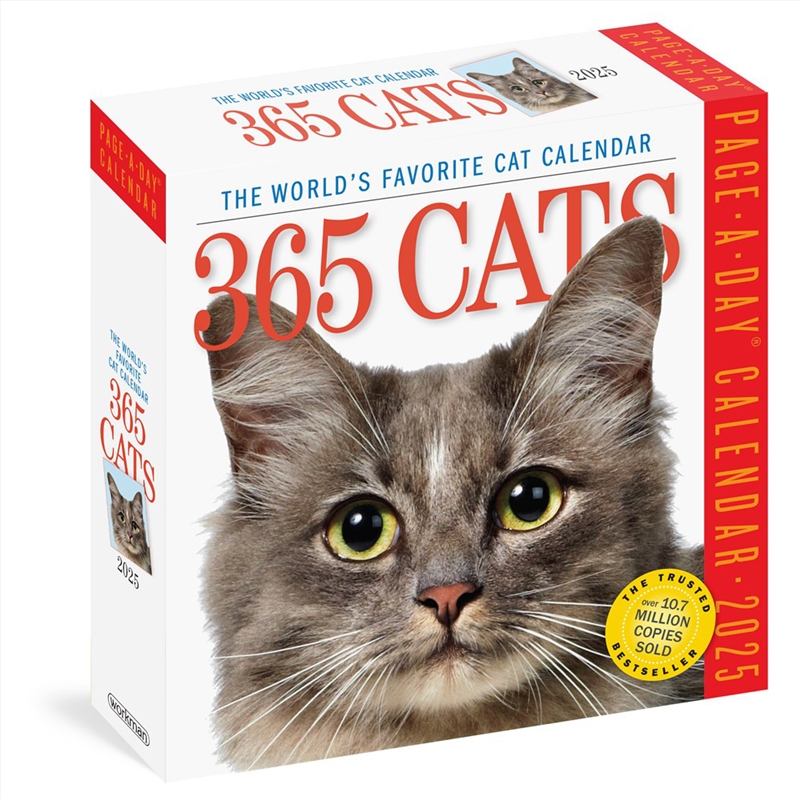 365 Cats Page-A-Day  Calendar 2025/Product Detail/Calendars & Diaries