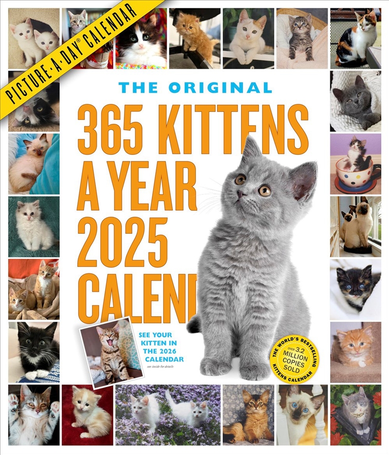 365 Kittens-A-Year Picture-A-Day  Wall Calendar 2025/Product Detail/Calendars & Diaries