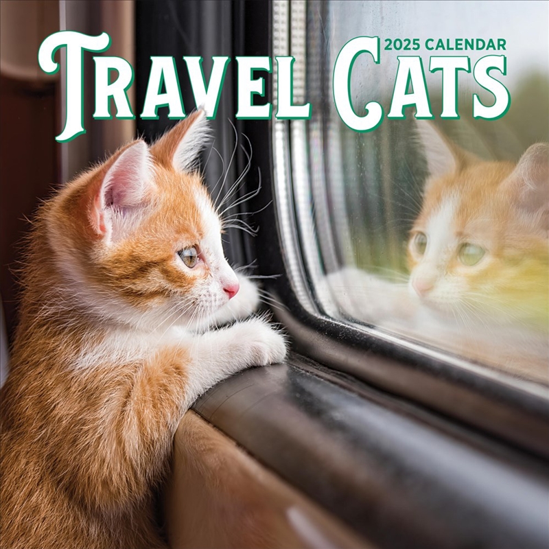 Travel Cats Wall Calendar 2025/Product Detail/Calendars & Diaries