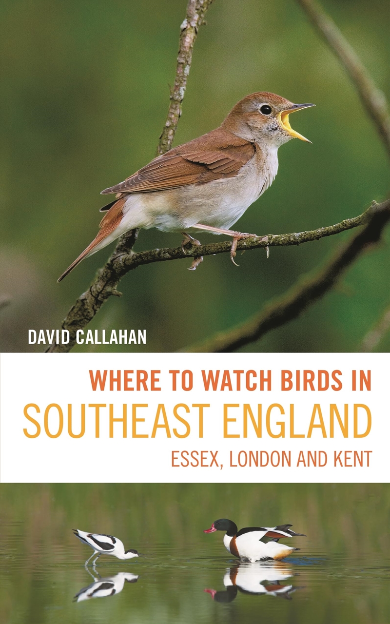 Where to Watch Birds in Southeast England: Essex, London and Kent/Product Detail/Animals & Nature