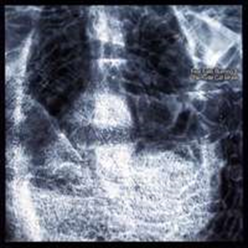 Fear Falls Burning And Birchvi/Product Detail/Rock/Pop