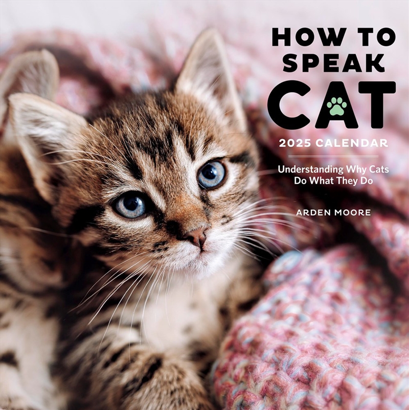 How to Speak Cat Wall Calendar 2025/Product Detail/Calendars & Diaries