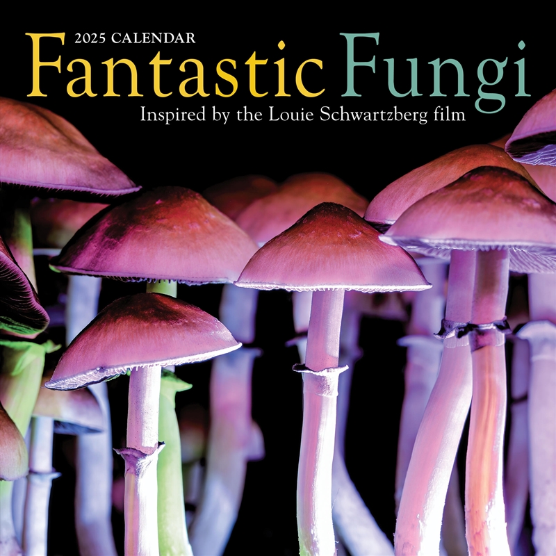 Fantastic Fungi Wall Calendar 2025/Product Detail/Calendars & Diaries