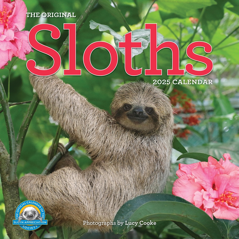 Original Sloths Wall Calendar 2025/Product Detail/Calendars & Diaries