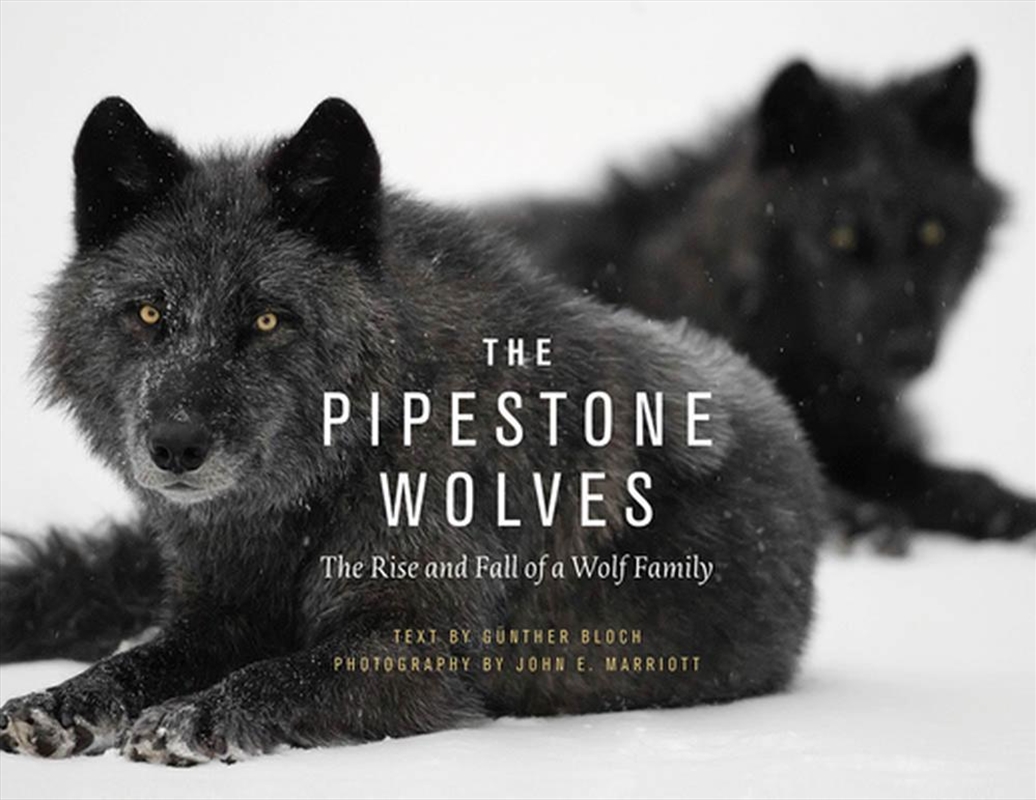 The Pipestone Wolves/Product Detail/Photography