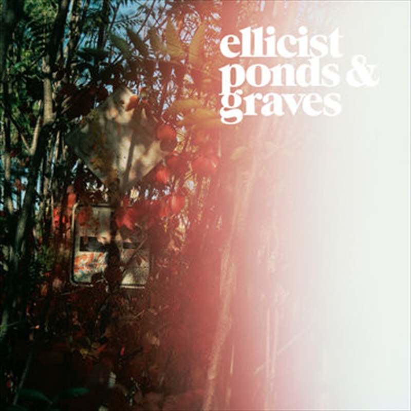 Point Defects/Product Detail/Dance