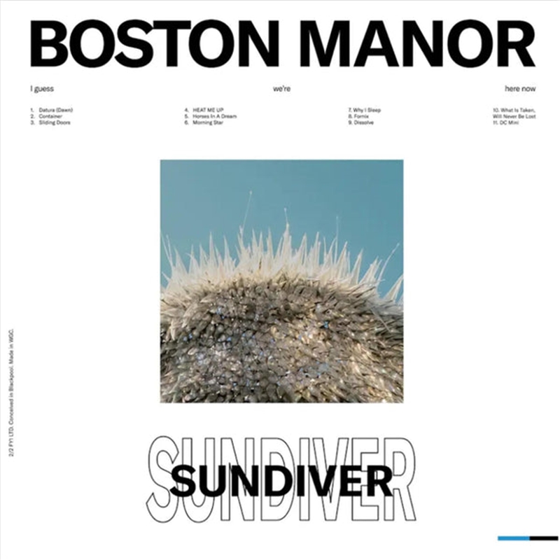 Sundiver/Product Detail/Rock/Pop