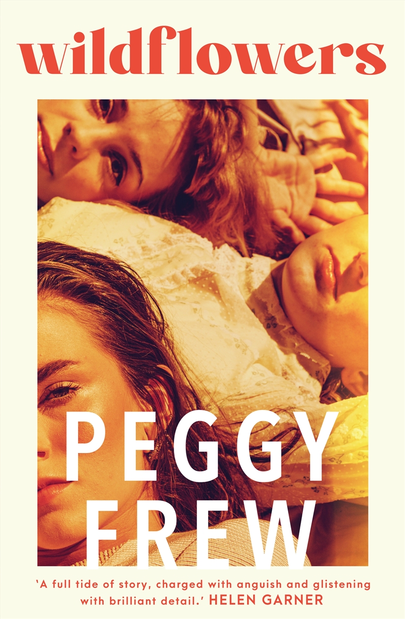 Wildflowers/Product Detail/Modern & Contemporary