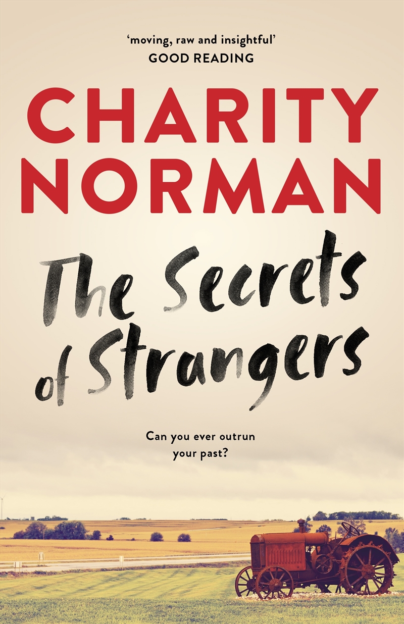 The Secrets of Strangers/Product Detail/Thrillers & Horror Books