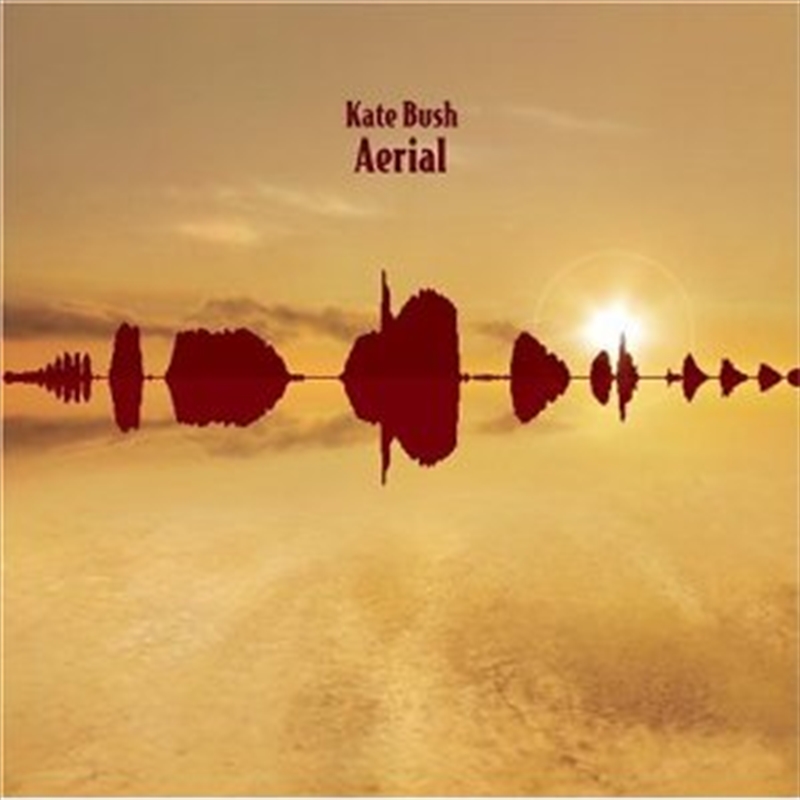 Aerial/Product Detail/Rock/Pop