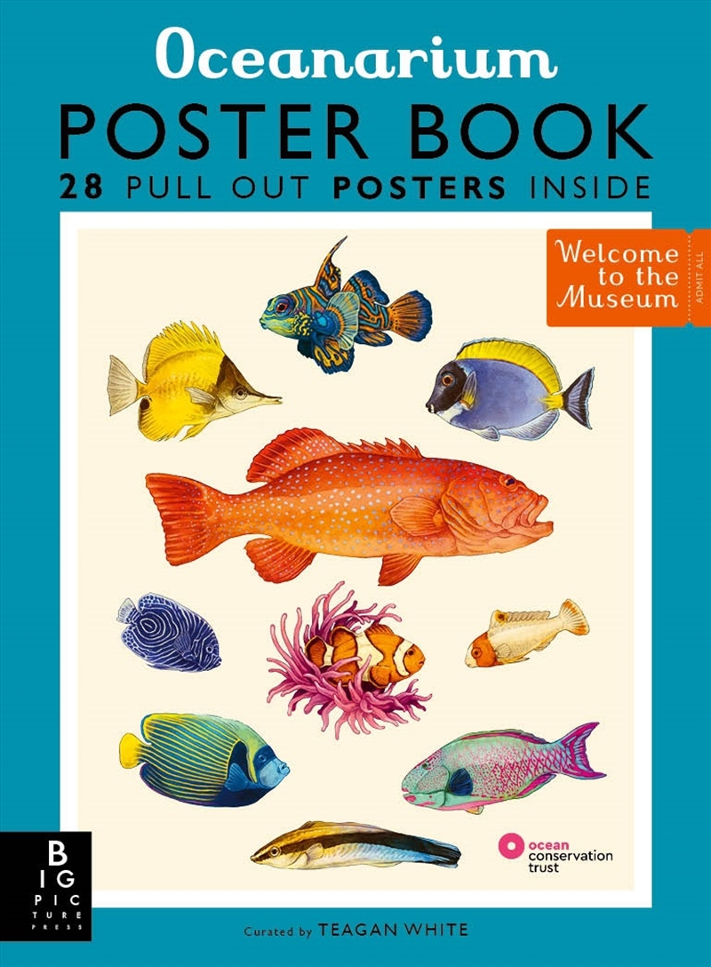 Oceanarium Poster Book/Product Detail/Kids Activity Books