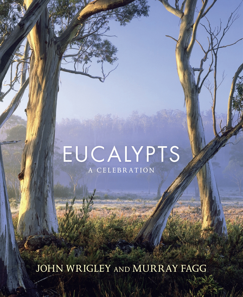 Eucalypts/Product Detail/Animals & Nature